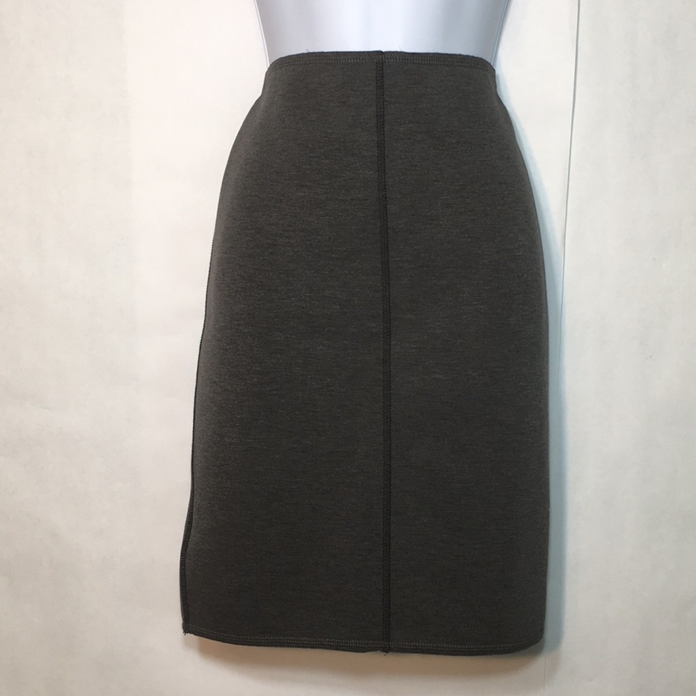 Ann Taylor Petite Skirt